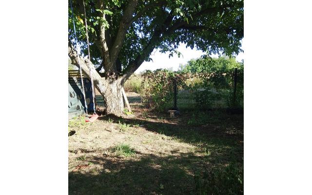 Casa P 1 cu teren 700 mp panouri solare - aproape de Bucuresti Livedea Ialomita