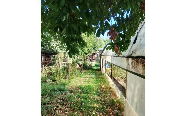 Casa P 1 cu teren 700 mp panouri solare - aproape de Bucuresti Livedea Ialomita