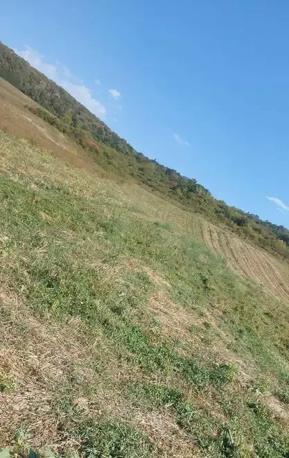 Vand teren intravilan in Panic