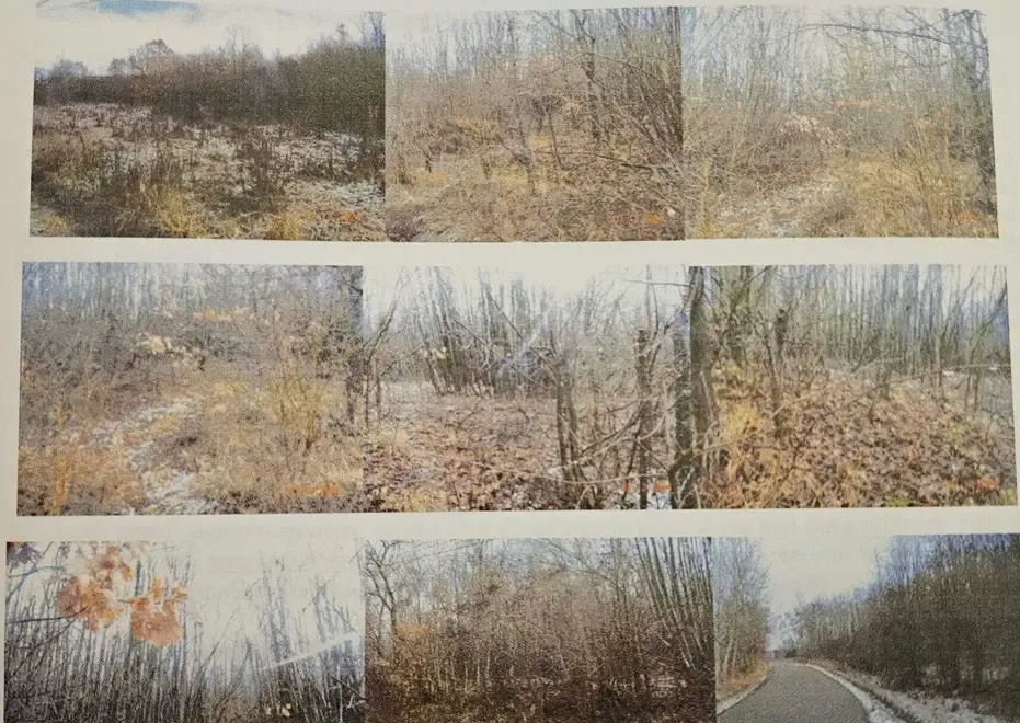 Vand teren extravilan Padure