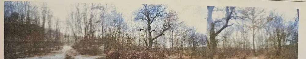 Vand teren extravilan Padure