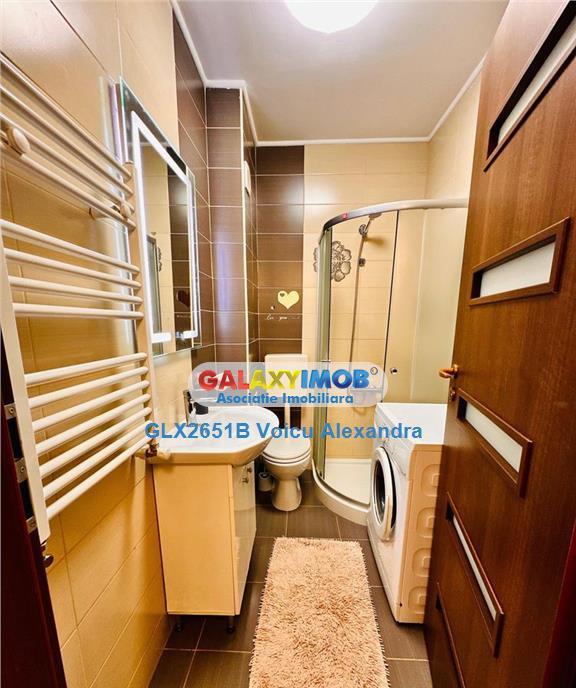 Garsoniera Noua Berceni Dimitrie Leonida Biruintei P