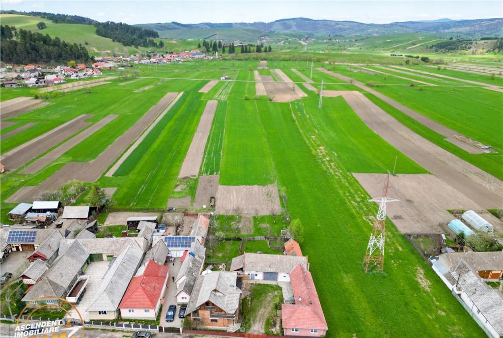 Ansamblu doua case anexe domeniu de 10 101mp Intorsura Buza