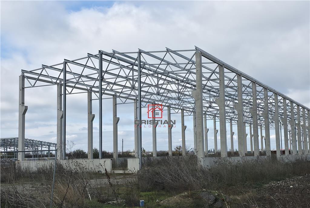Depozit/hala/spatiu industrial Mogosoaia Buftea