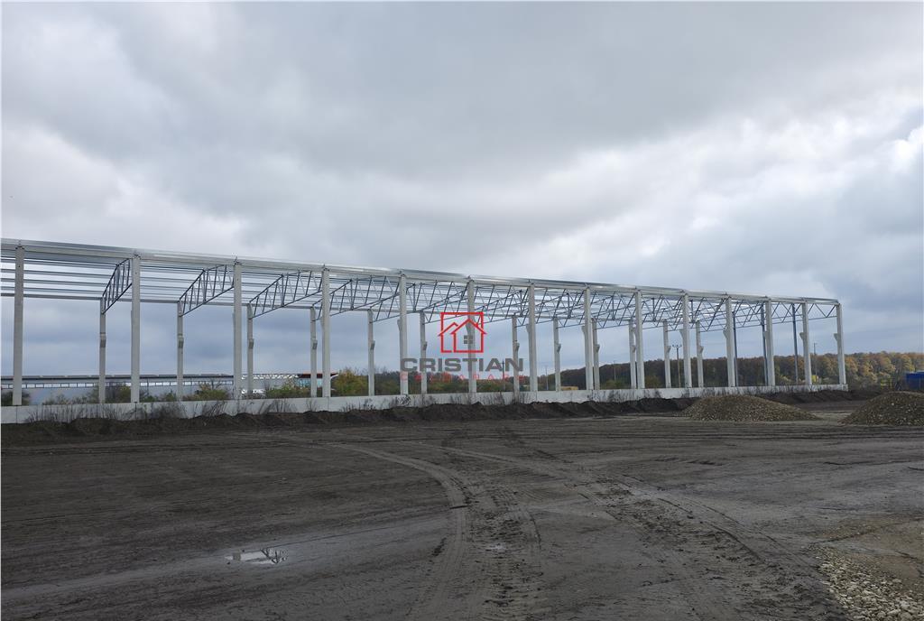 Depozit/hala/spatiu industrial Mogosoaia Buftea