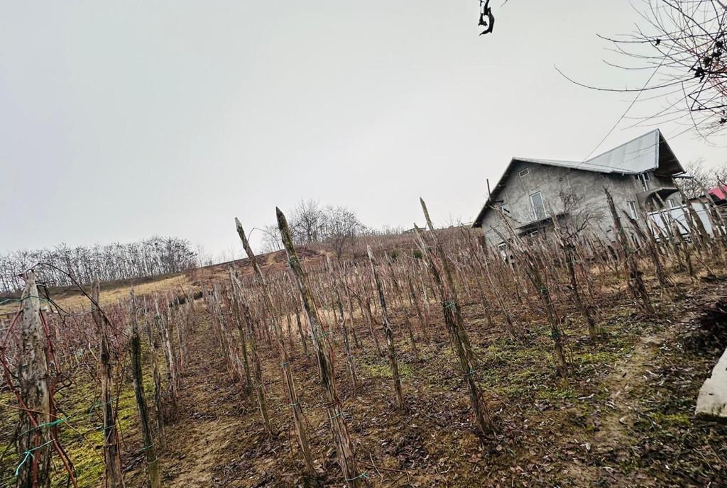 Casa com Orlesti sat Procopoaia Jud Valcea