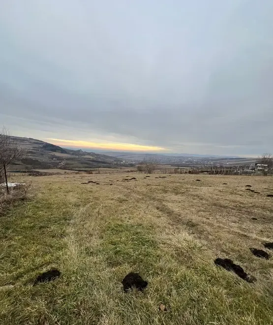 Teren intravilan 6 km de Auchan Iris