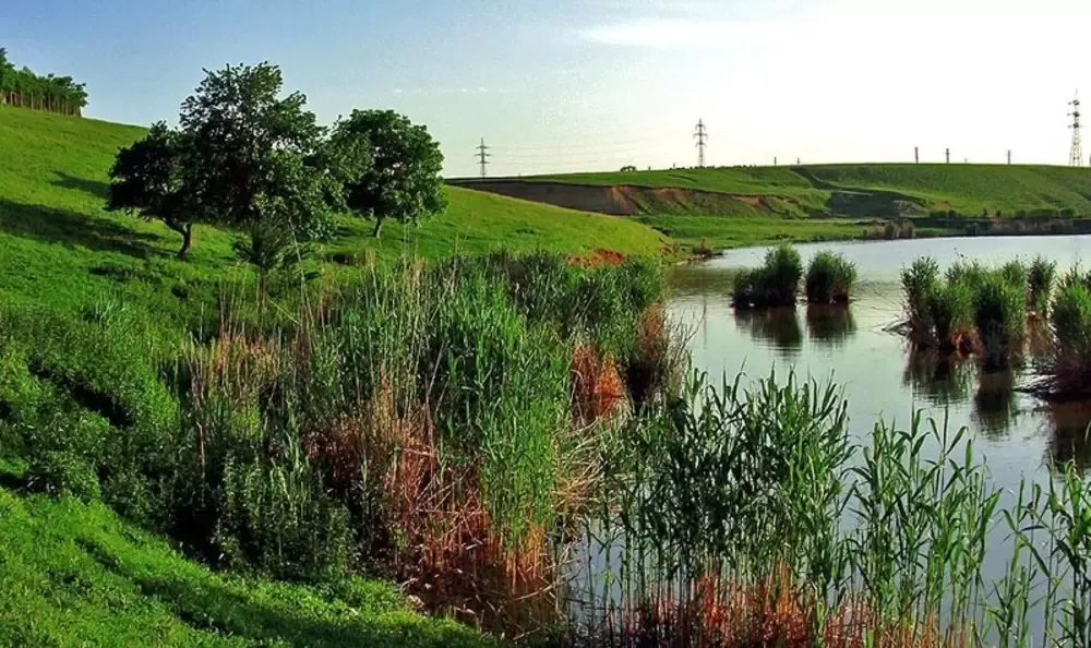 Baltile Hagiesti-teren si diguri proprietate