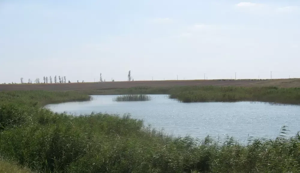 Baltile Crunti-Reviga pret avantajos