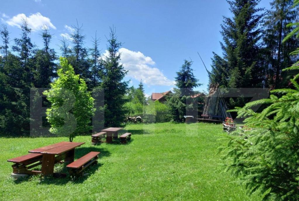 unica de investitie Poiana Stampei cabana 6060
