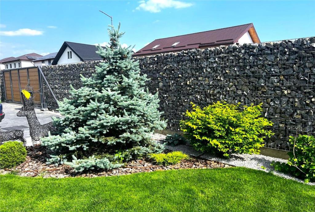 Tur 3D Vila tehnologie smart teren 1 000 mp T