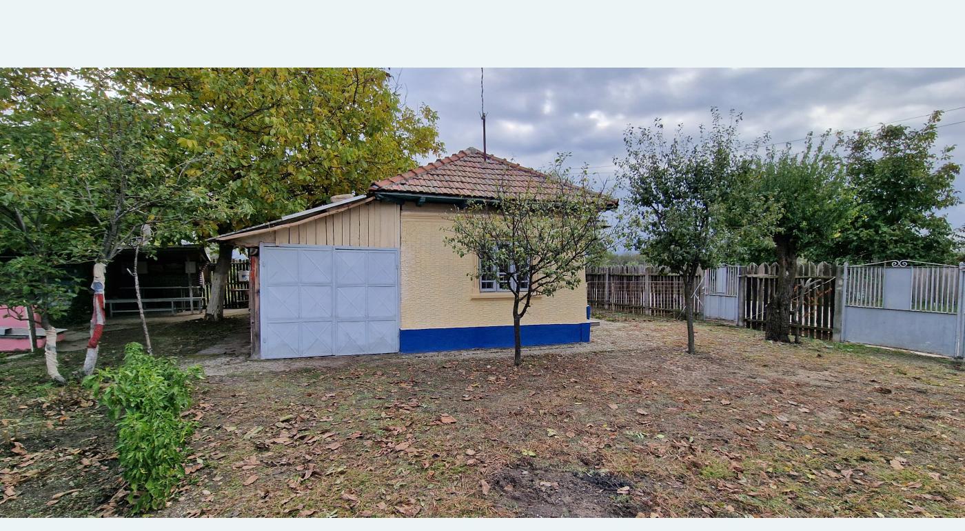 Oferte case de vanzare