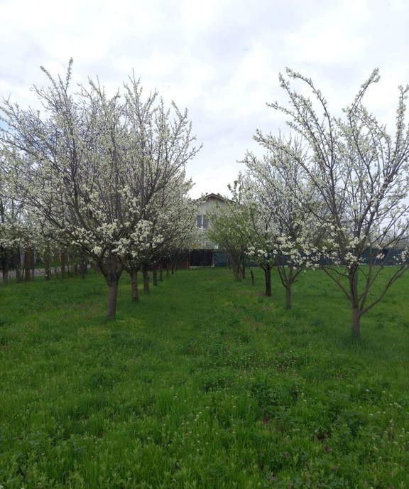 Apartament 2 cam 56mp drumul Gura Crivatului