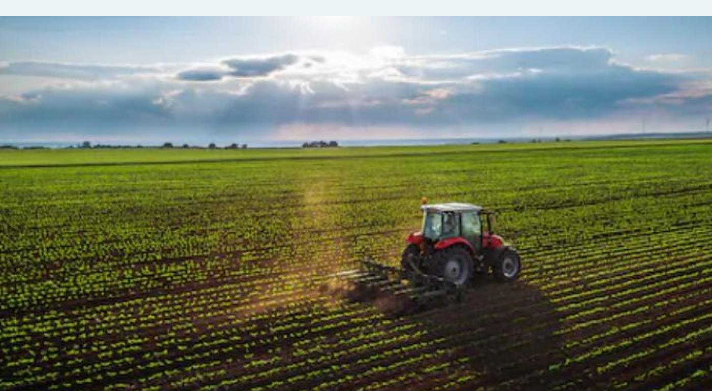 Teren agricol extravilan Mares Albota judet Arges