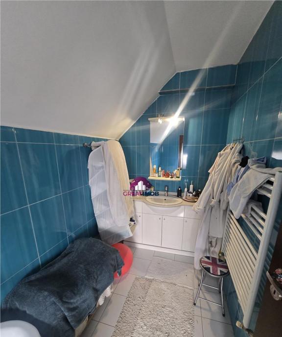 Vila de inchiriat Mogosoaia