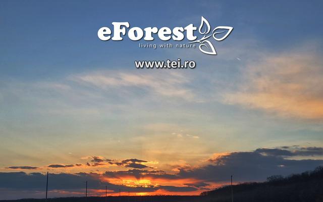 Terenuri premium de vanzare intre paduri acces asfaltat DN1A