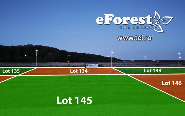 Terenuri premium de vanzare intre paduri acces asfaltat DN1A