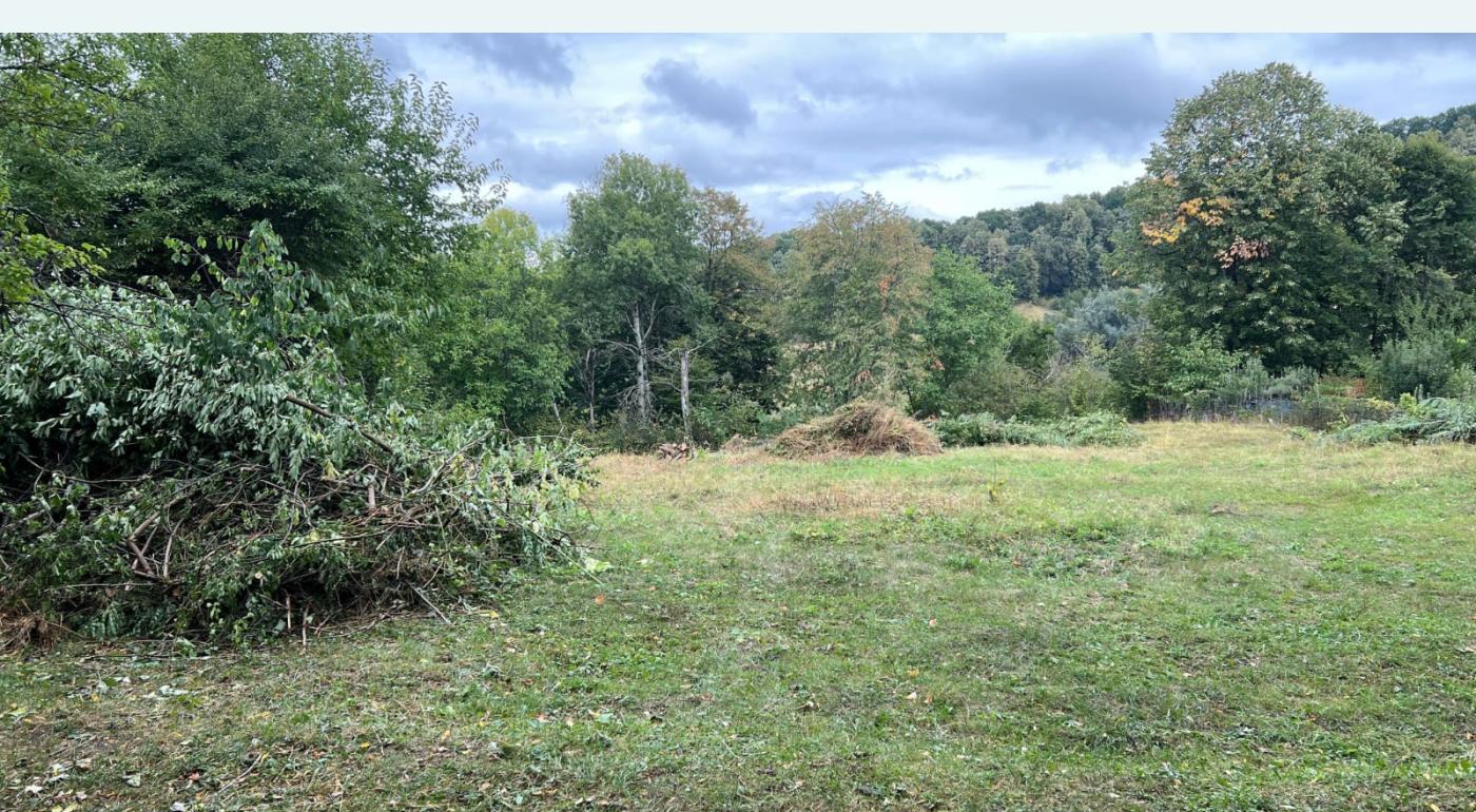 Teren Telega Prahova drum asfaltat