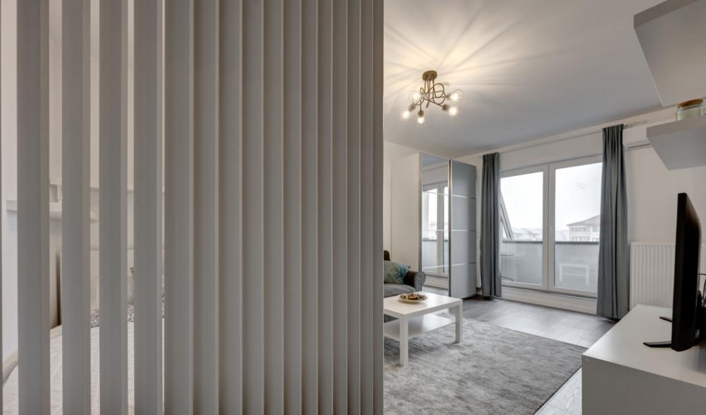 Drumul Taberei Parc Brancusi Loc Parcare