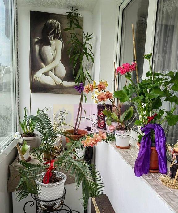 Soseaua Pantelimon sector 2