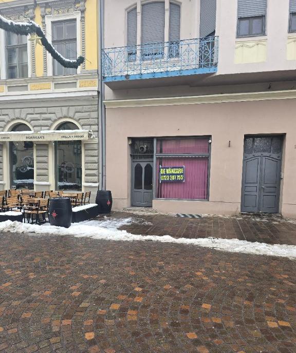 Spatiu Comercial Ultrac Alecsandri sc 75 mp demisol 70 mp