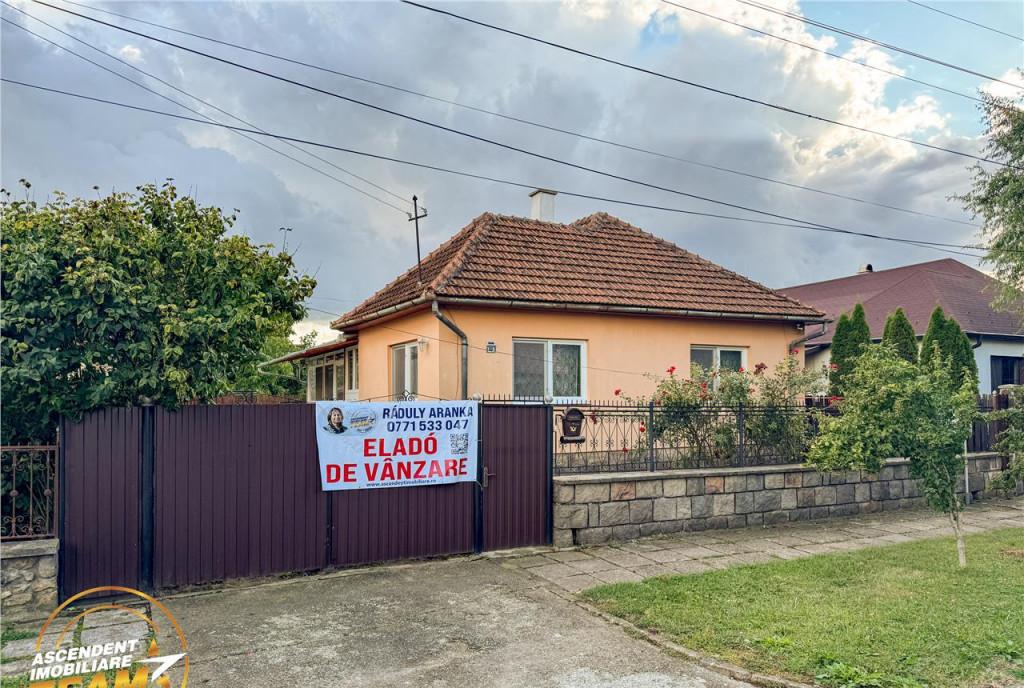 FILM3D Casa ospitaliera curte si gradina asortata arie lini