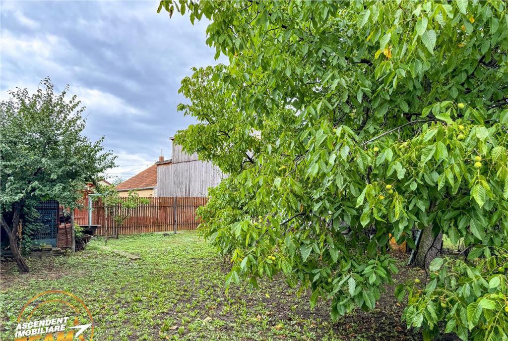 FILM3D Casa ospitaliera curte si gradina asortata arie lini