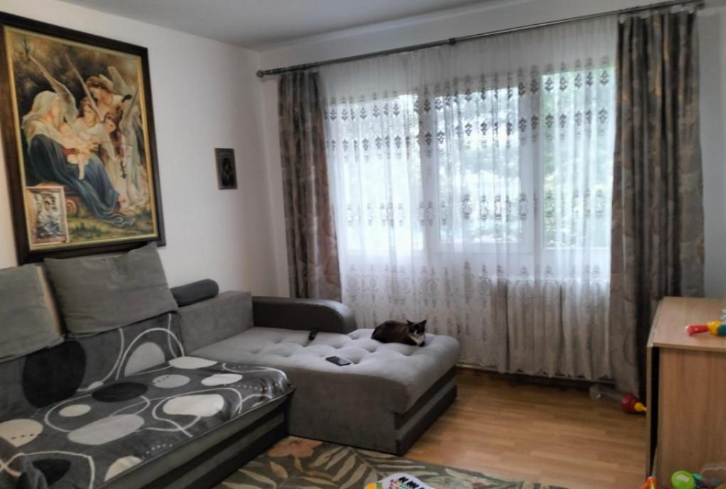 Pf apartament 2 camere Bucium Plopii fara sot