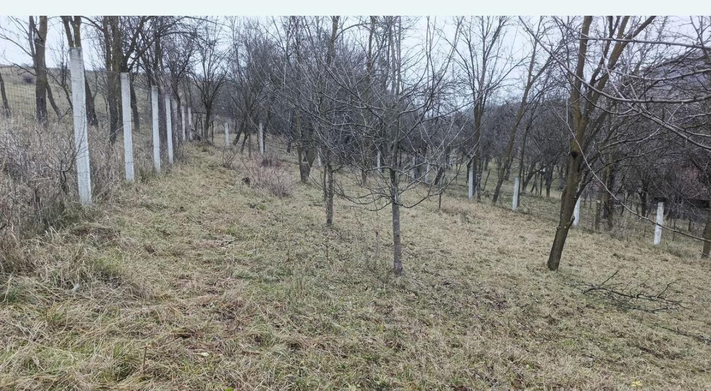 Teren intravilan Nicula jud Cluj