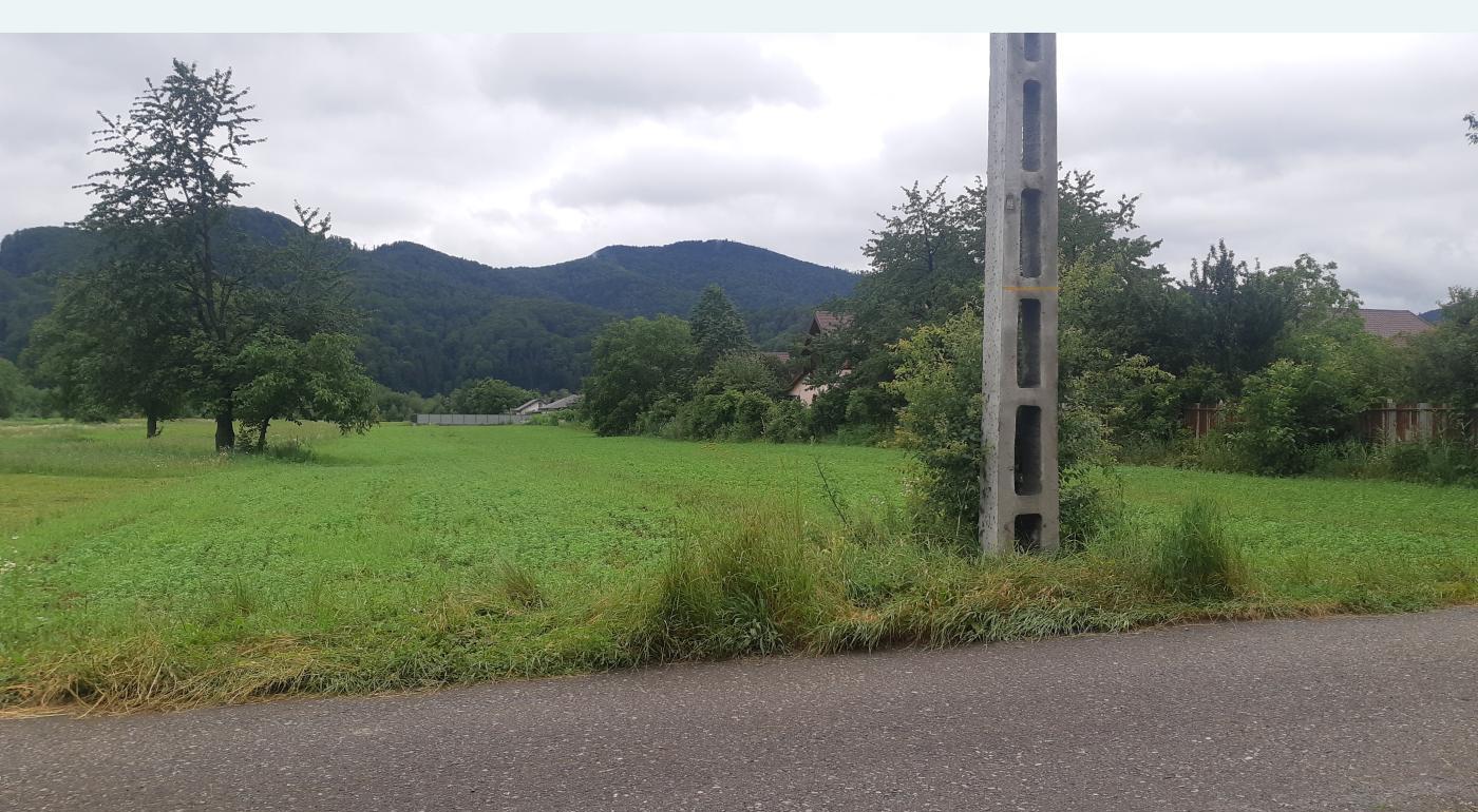 Teren intravilan Viisoara Neamt front stradal 27 m