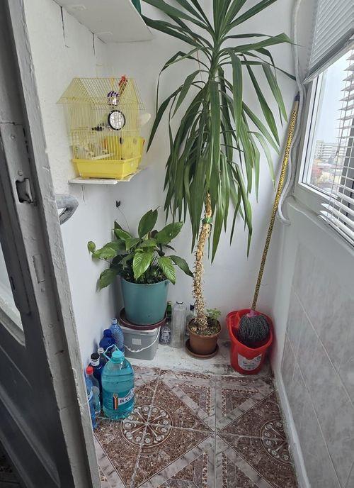 Apartament 2 camere decomandat Luica / Constantin Brancov