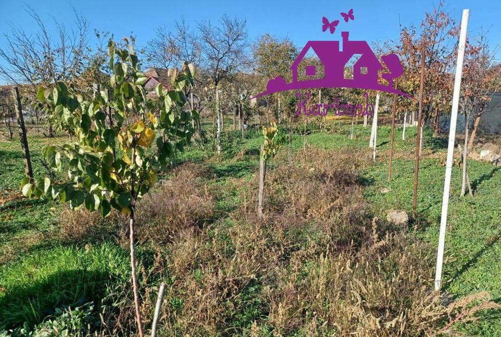 Casa la curte comuna in localitatea Nojorid