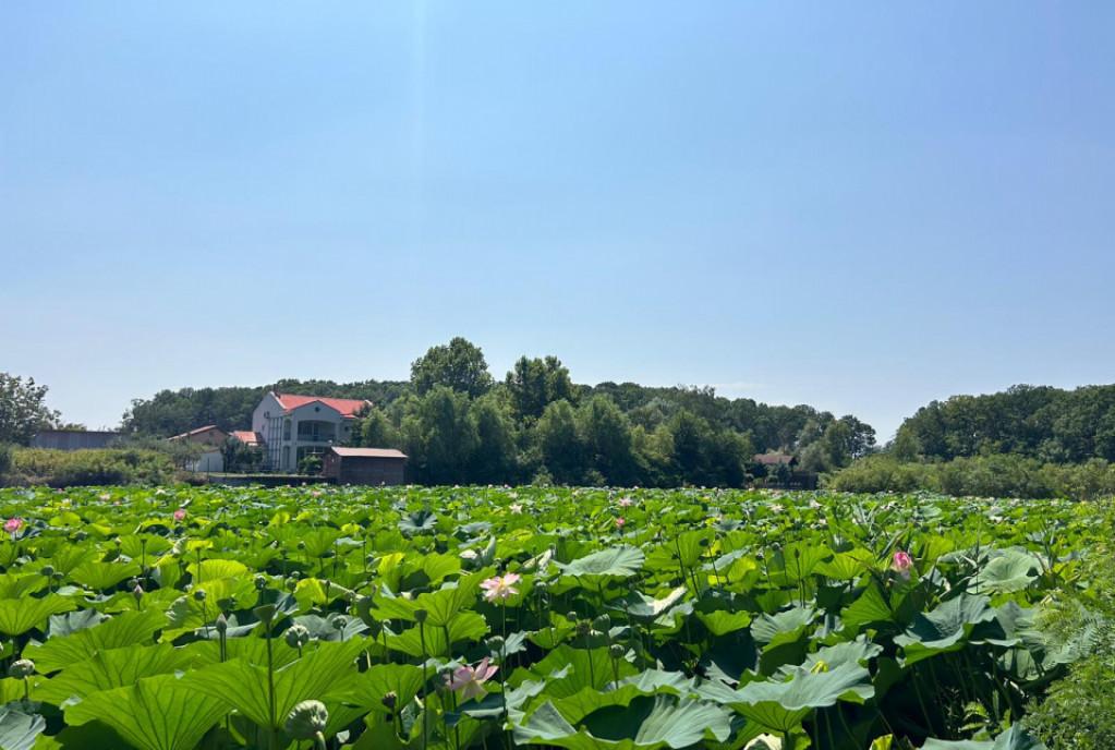 Apartament 3 camere / Piata Muncii / Bloc nou / Metrou