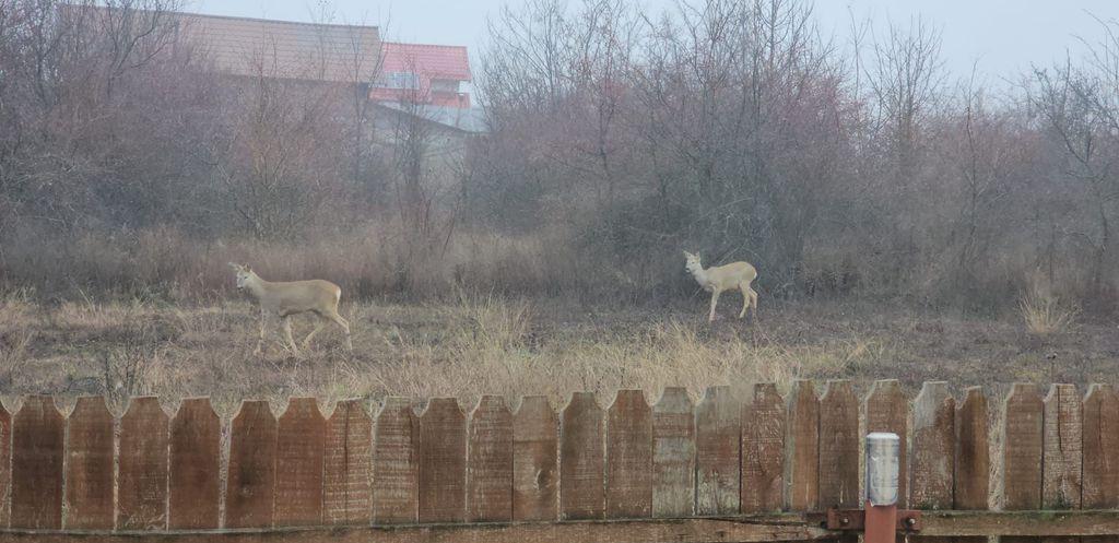 Azura Imobiliare Casa la cheie Mosoaia pret de aparta