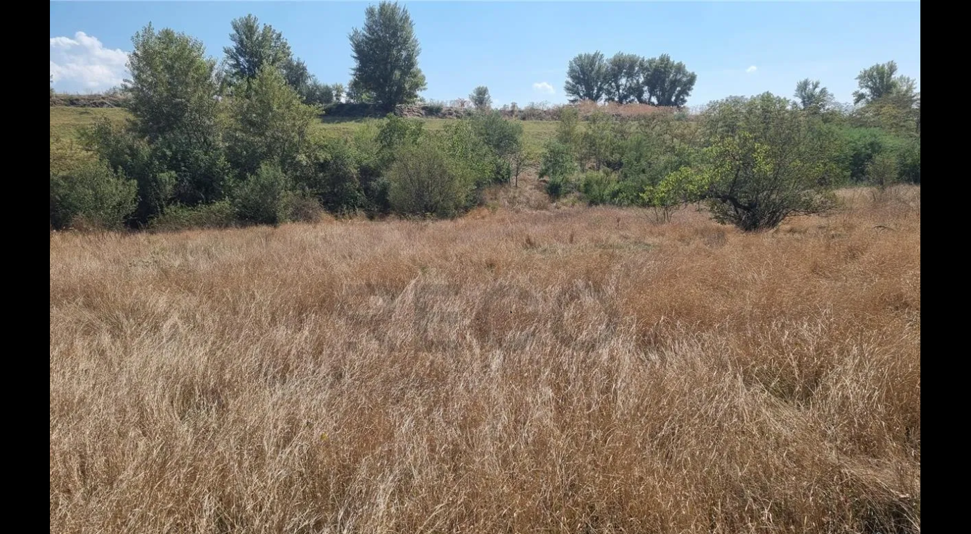 Teren intravilan de vanzare - Alexandria zona Poroschia