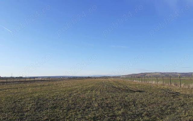 Vand teren extravilan in localitatea Bucov